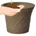 Arcadia Garden Scroll Grower Pot   